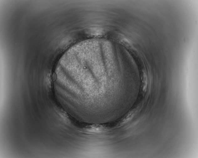 X0000086940612200704301138