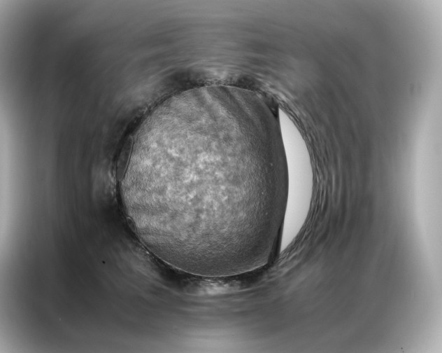 X0000086940613200704301138