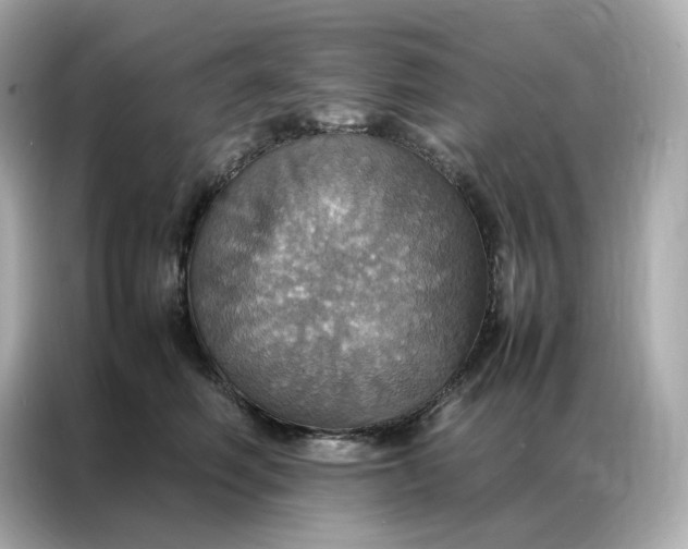 X0000086940614200704301138