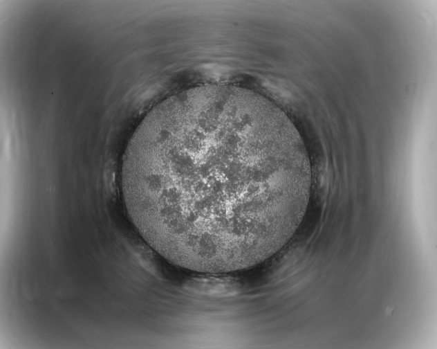 X0000086940615200704301138