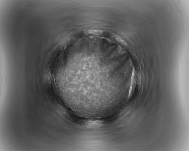 X0000086940617200704301138