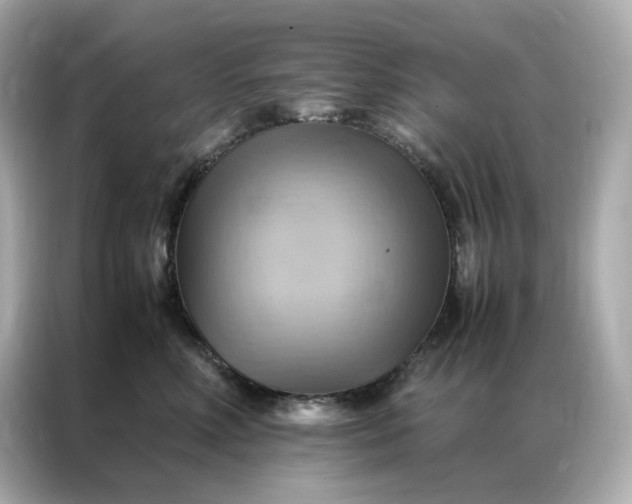 X0000086940618200704301138
