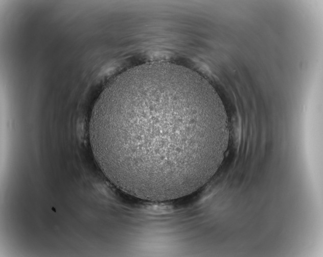 X0000086940619200704301138
