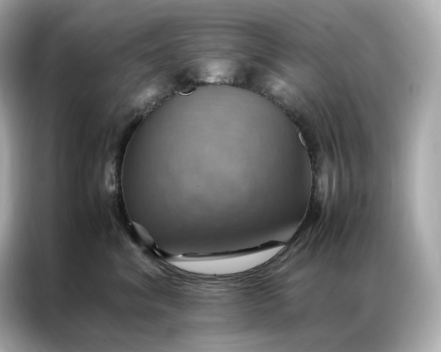 X0000086940620200704301138