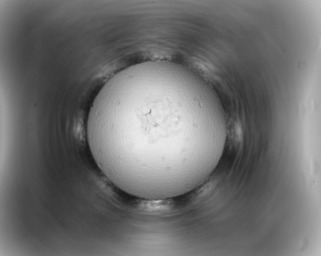 X0000086940622200704301138