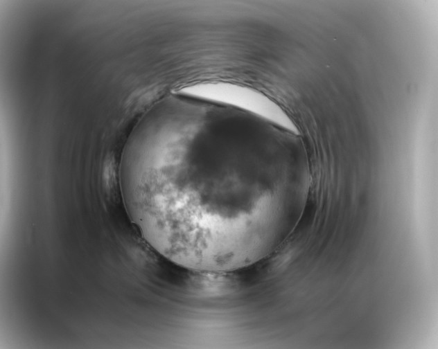 X0000086940623200704301138