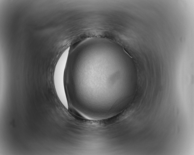 X0000086940624200704301138