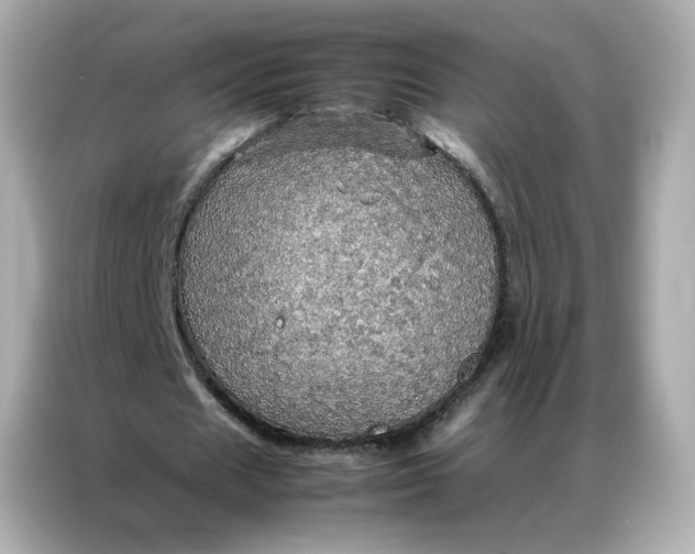 X0000086940625200704301138