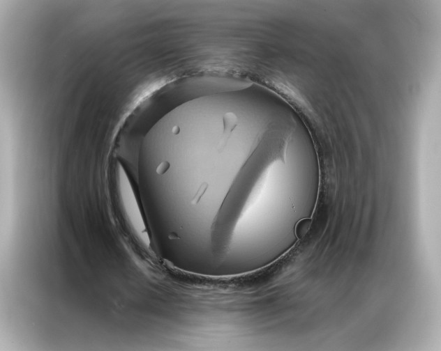 X0000086940626200704301138