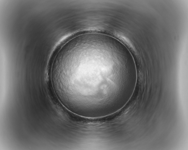 X0000086940628200704301138