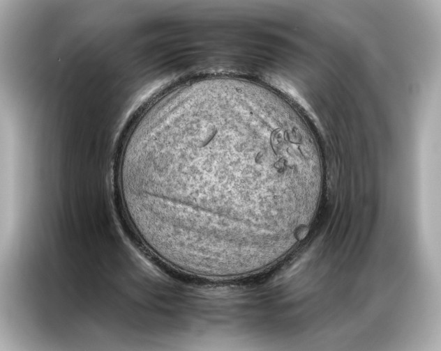 X0000086940629200704301138