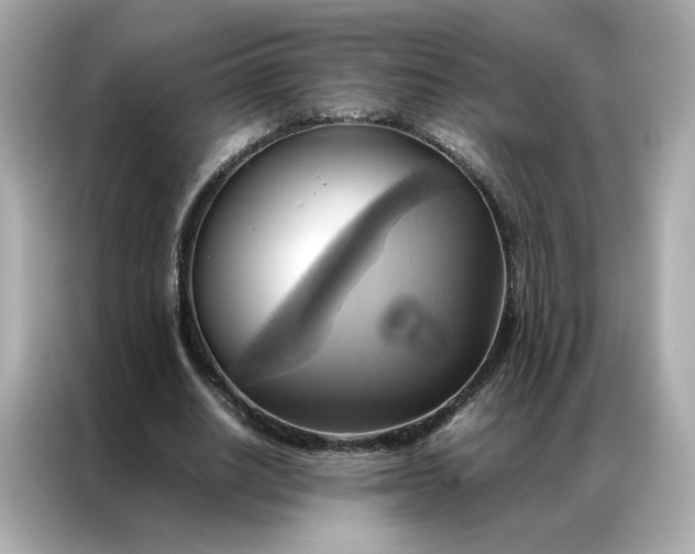 X0000086940630200704301138