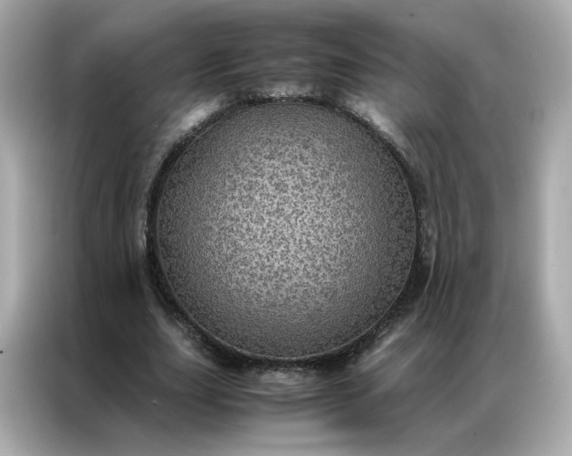 X0000086940631200704301138
