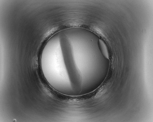 X0000086940634200704301138
