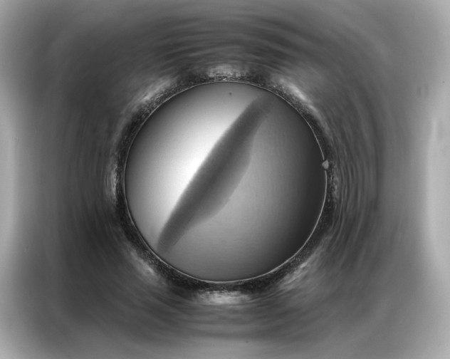 X0000086940637200704301138