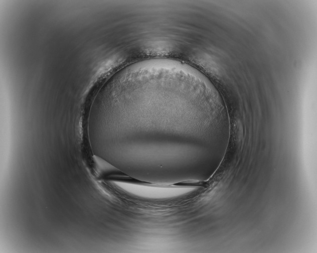 X0000086940638200704301138