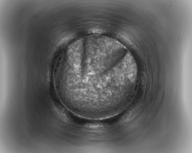 X0000086940639200704301138