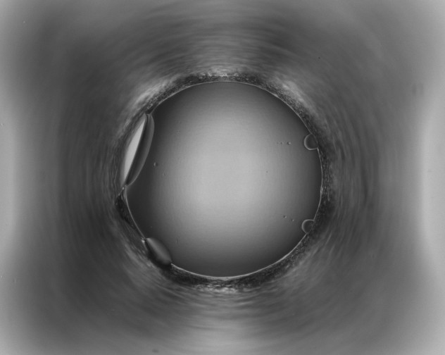 X0000086940640200704301138