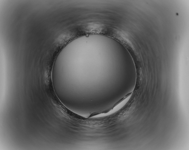 X0000086940641200704301138