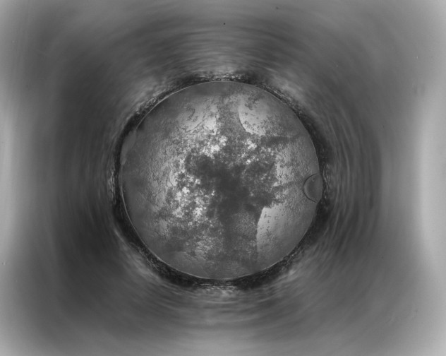 X0000086940642200704301138
