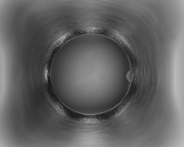 X0000086940644200704301138