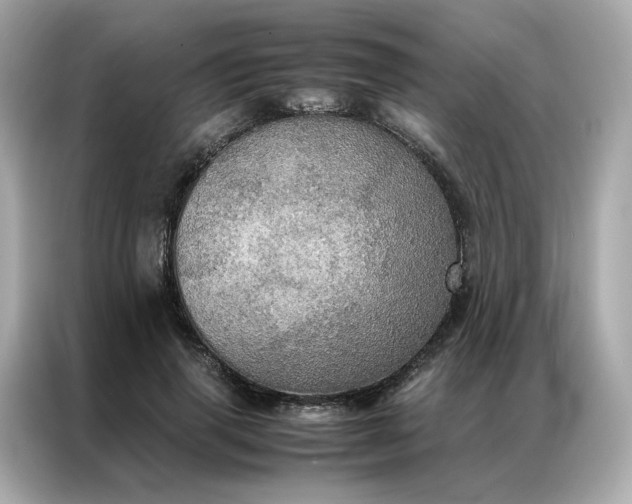 X0000086940645200704301138