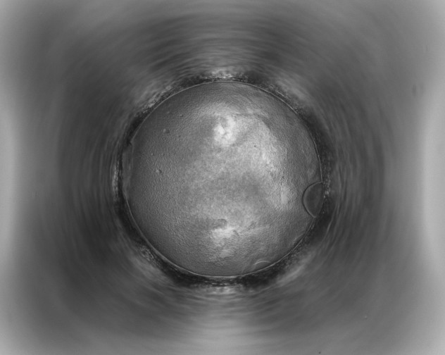 X0000086940646200704301138