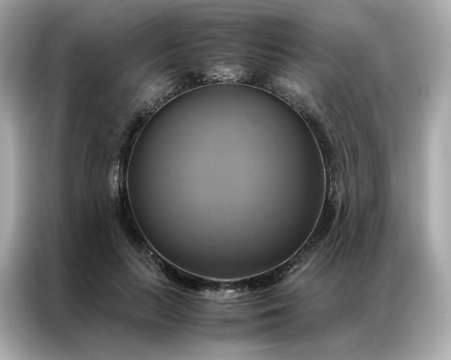 X0000086940647200704301138