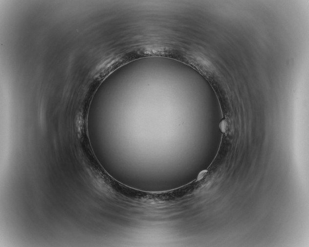 X0000086940648200704301138
