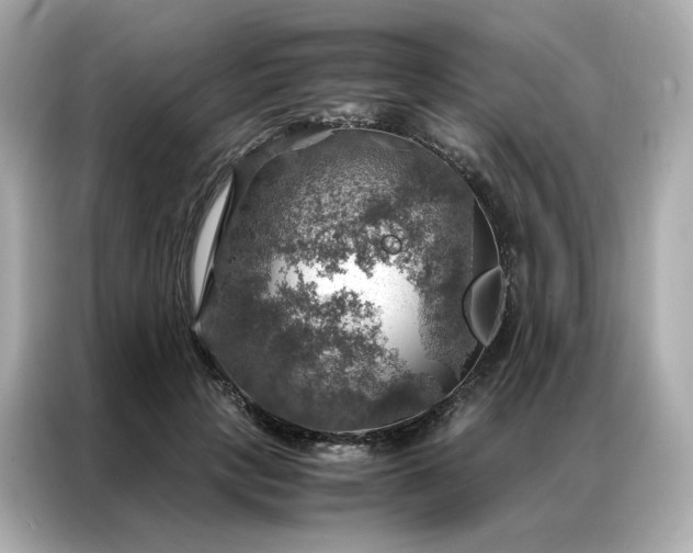 X0000086940649200704301138