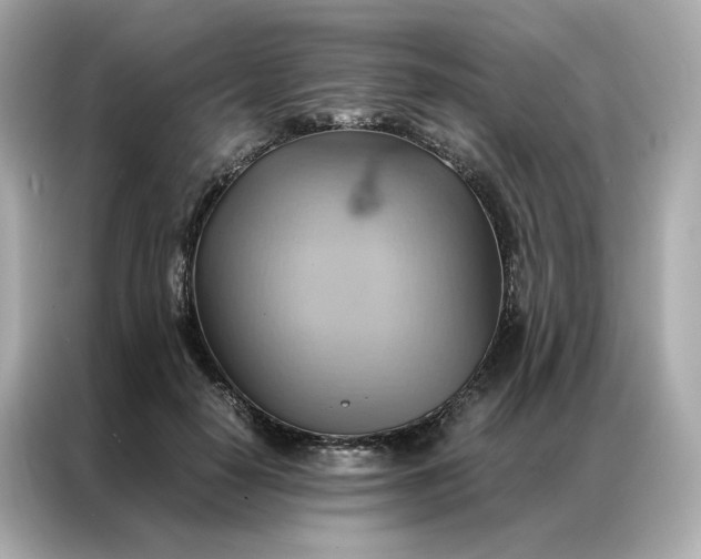 X0000086940650200704301138