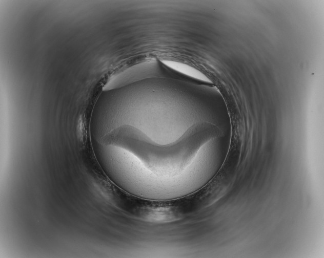 X0000086940651200704301138