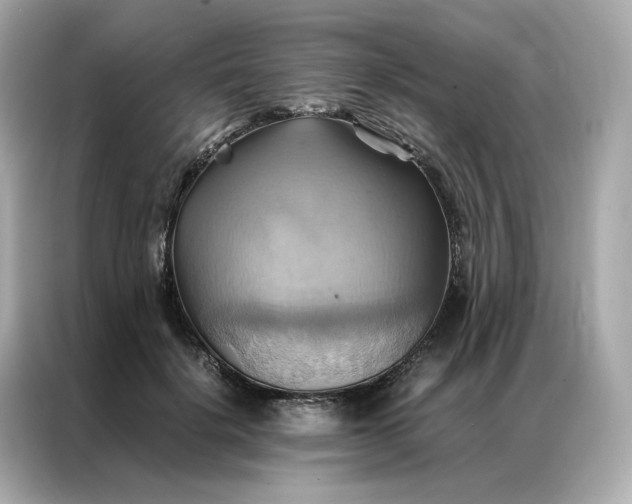X0000086940652200704301138