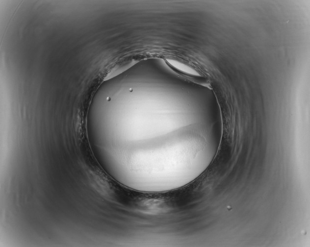 X0000086940653200704301138