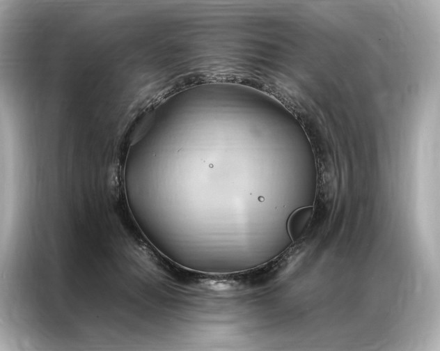 X0000086940654200704301138