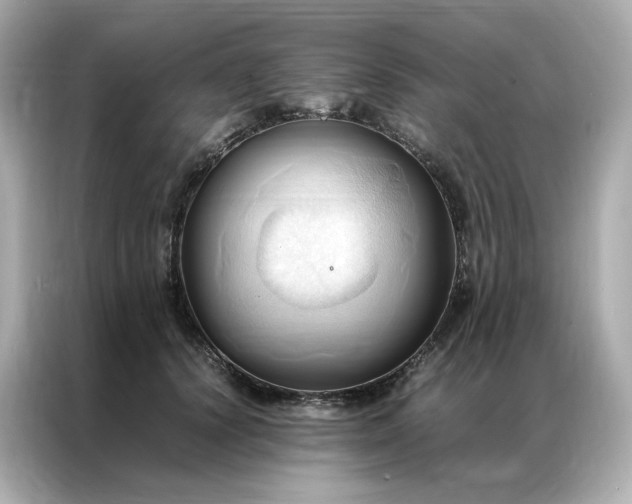 X0000086940656200704301138