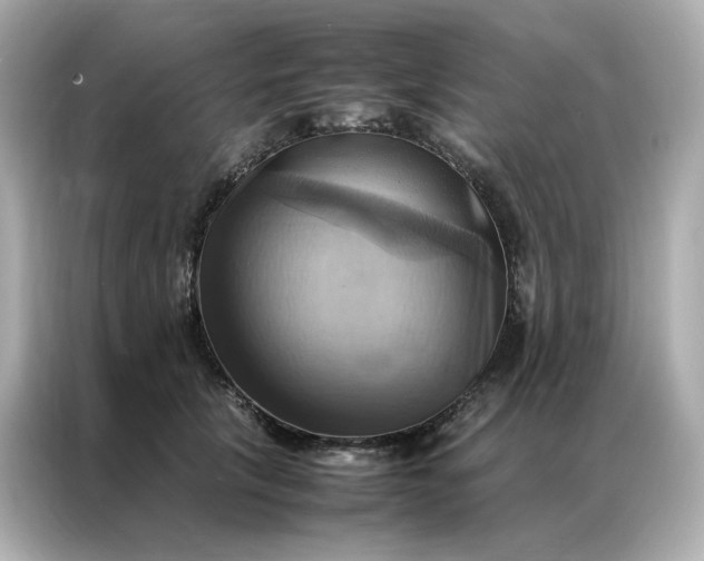 X0000086940657200704301138