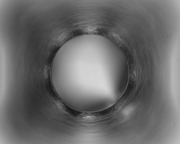 X0000086940658200704301138