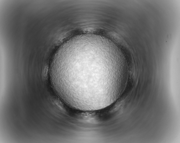 X0000086940660200704301138