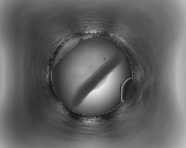X0000086940661200704301138