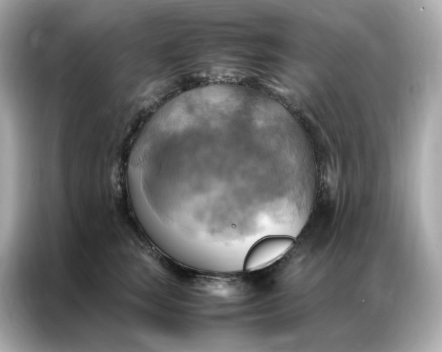 X0000086940663200704301138