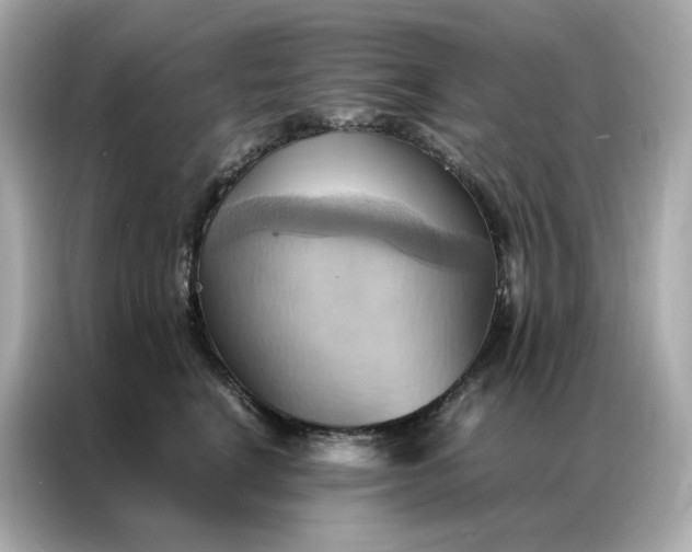 X0000086940664200704301138
