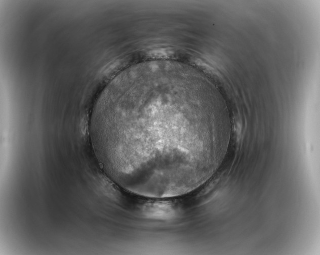 X0000086940665200704301138