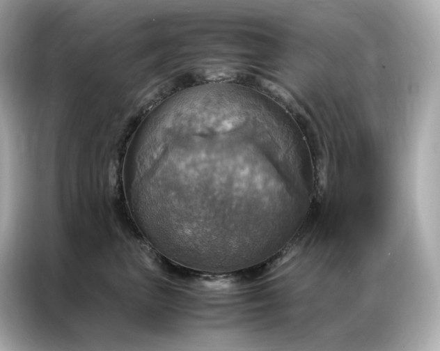 X0000086940667200704301138
