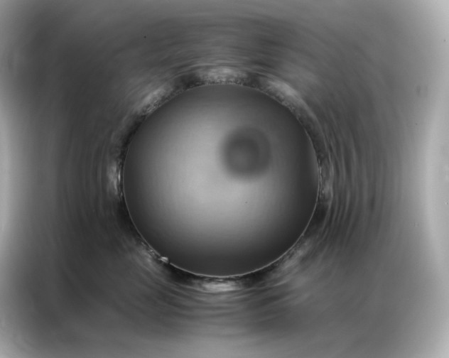X0000086940669200704301138