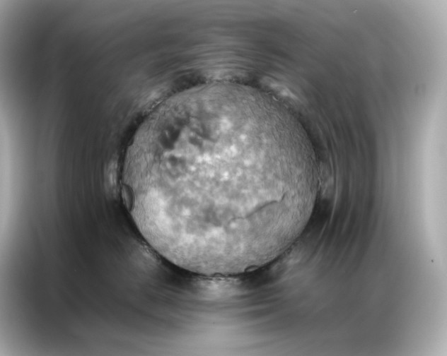 X0000086940670200704301138