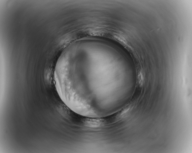 X0000086940671200704301138