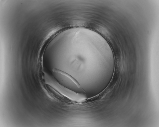 X0000086940674200704301138