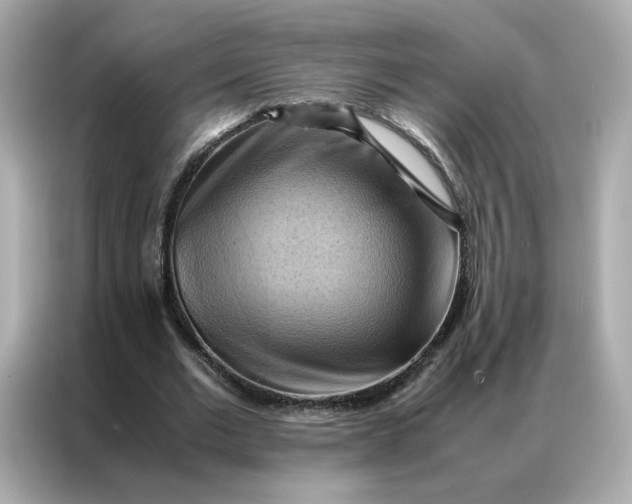 X0000086940677200704301138
