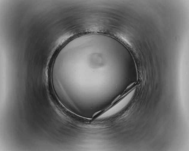 X0000086940678200704301137